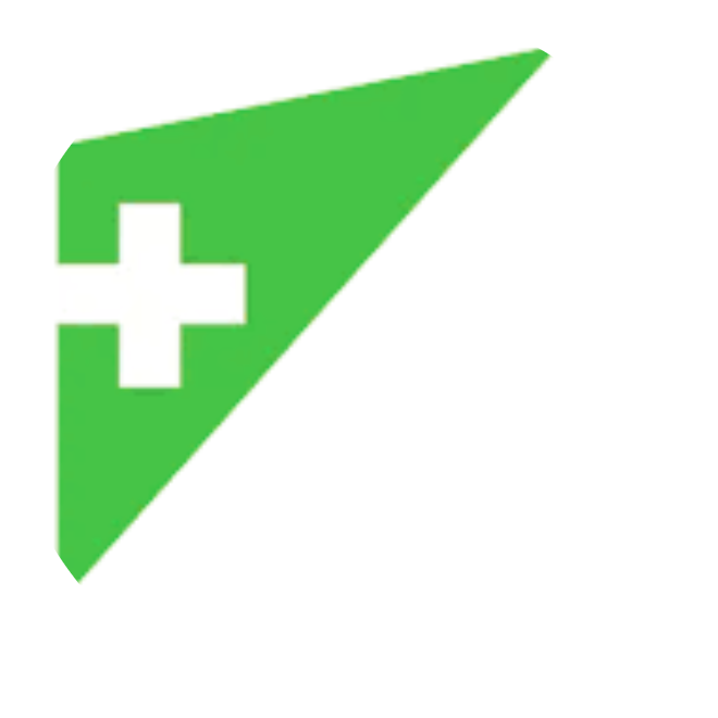 BDSwiss logo