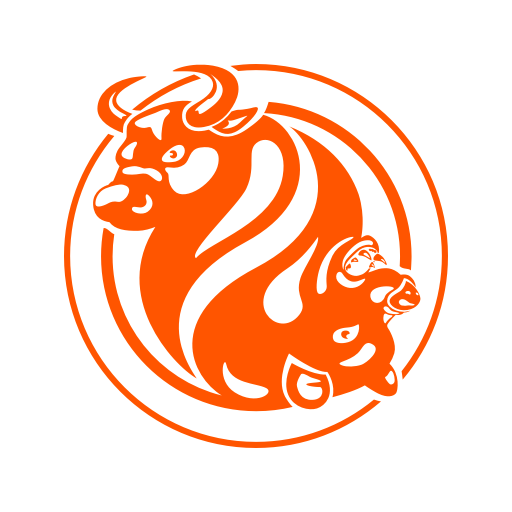 FXOpen logo